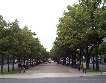 a11 a11.jpg